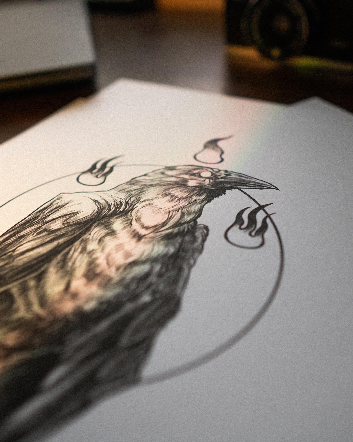 Print Raven 313
