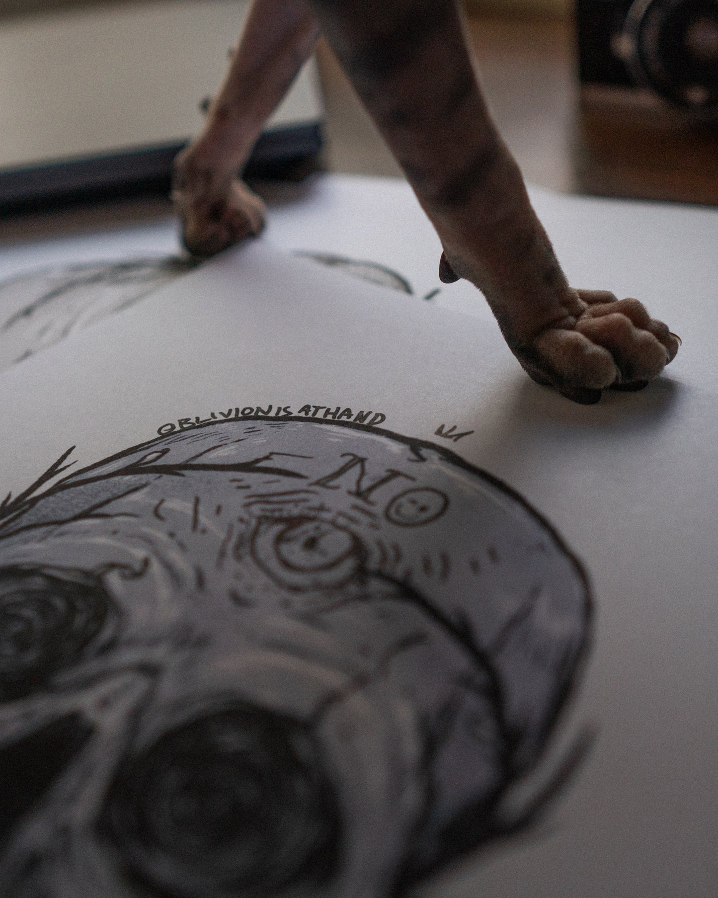 Print Raven 313